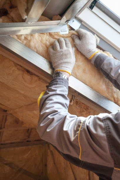 Best Commercial Insulation in Tye, TX