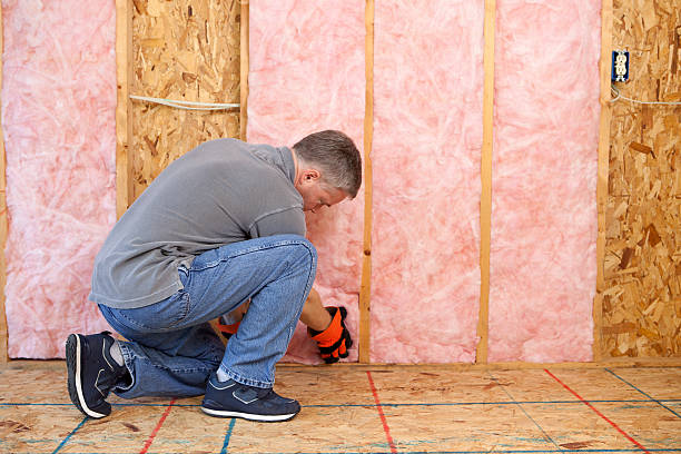 Best Insulation Installation Services in Tye, TX